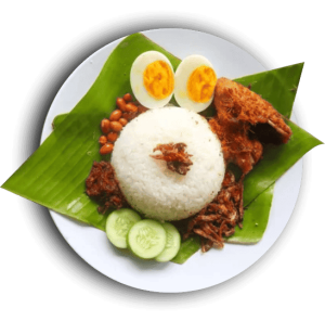 Nasi Ayam Telur
